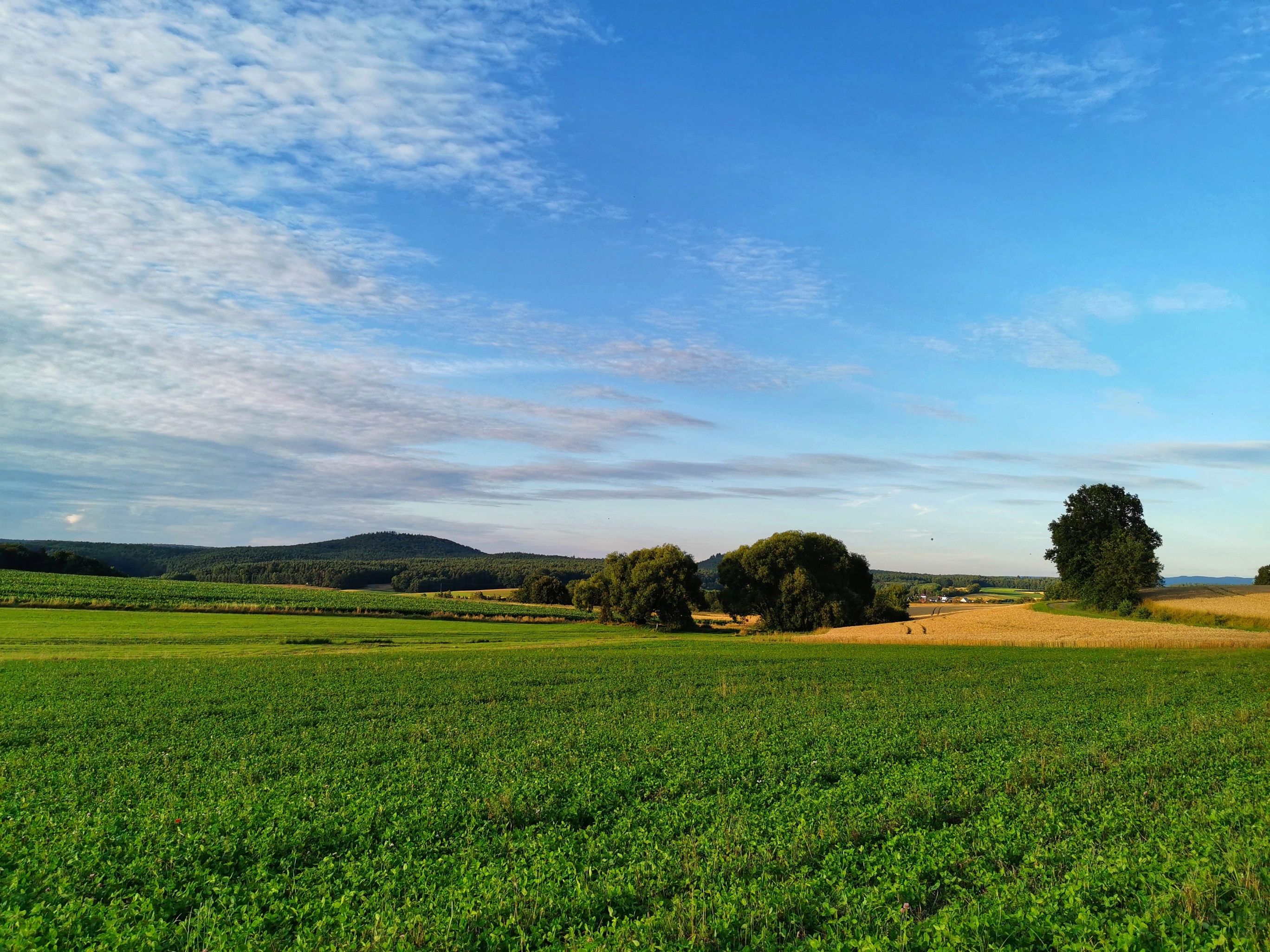 Verpachtung von Flurstücken
